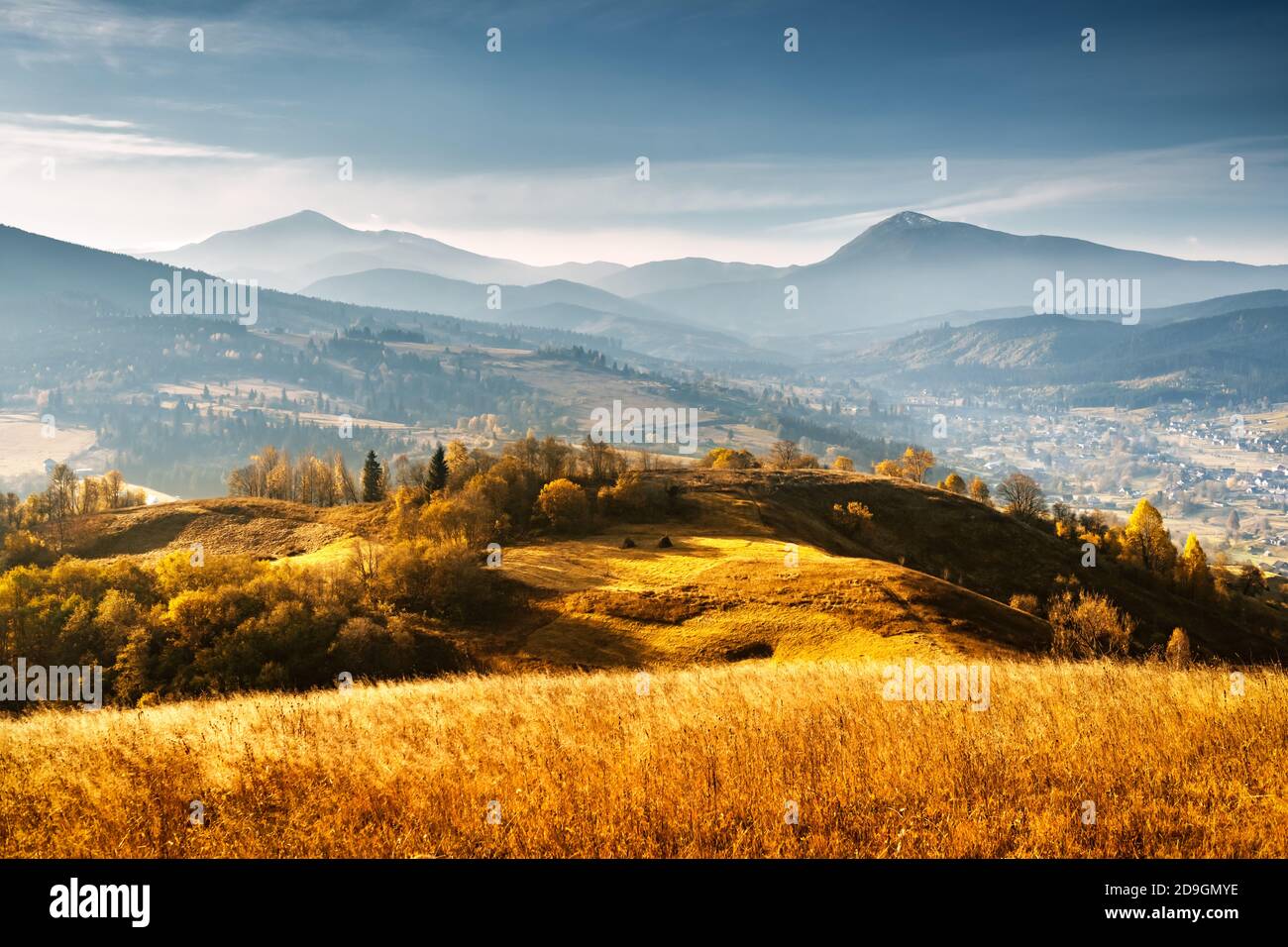 Montagnes d'automne pittoresques avec herbe jaune et orangers dans les montagnes Carpates, Ukraine. Photographie de paysage Banque D'Images