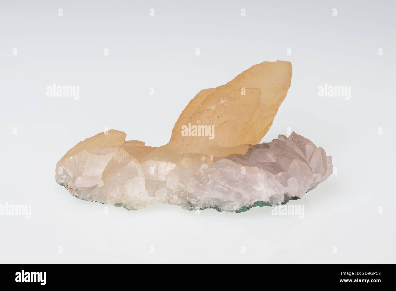 dent de chien calcite sur fond blanc quartzwit Banque D'Images