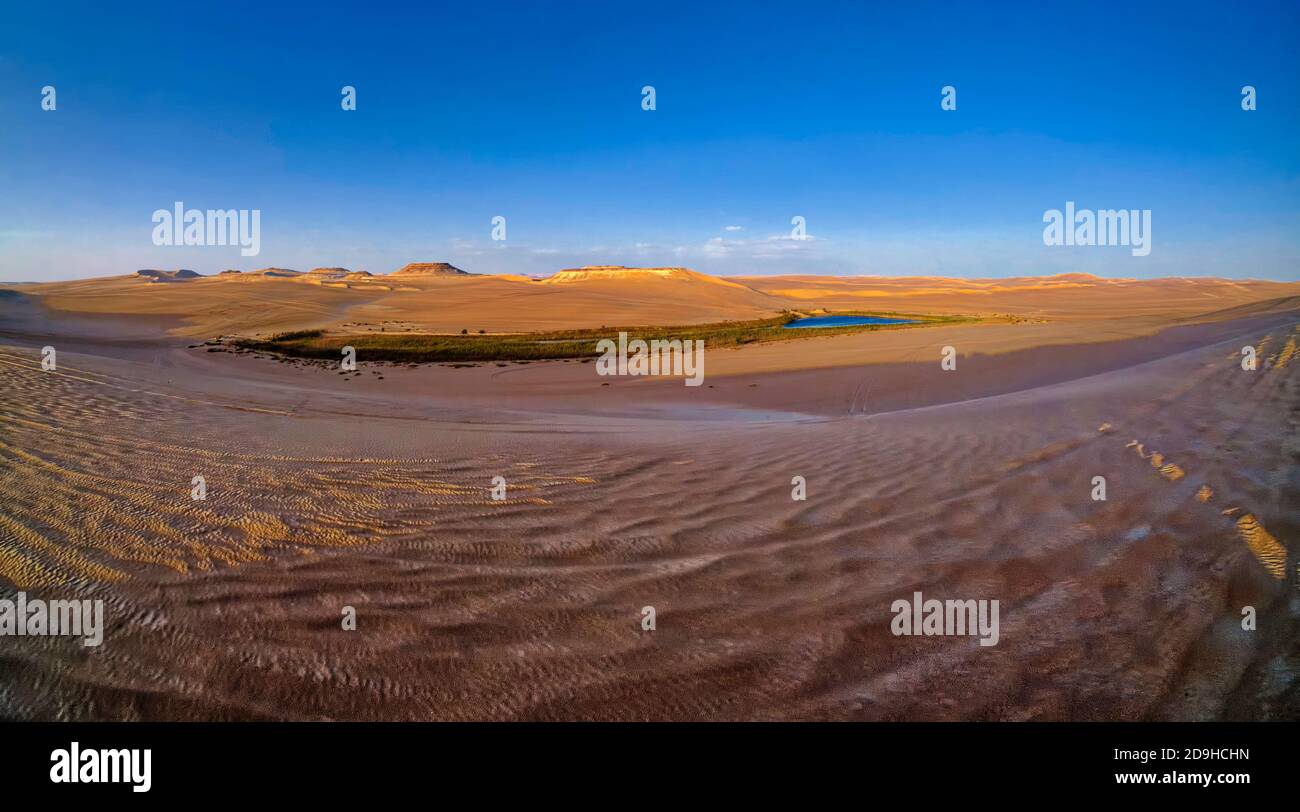 Siwa Oasis a été désignée comme protectorat pour sa diversité culturelle et faunique. Siwa a beaucoup de lacs et plus de mille sources mais l'eau Banque D'Images