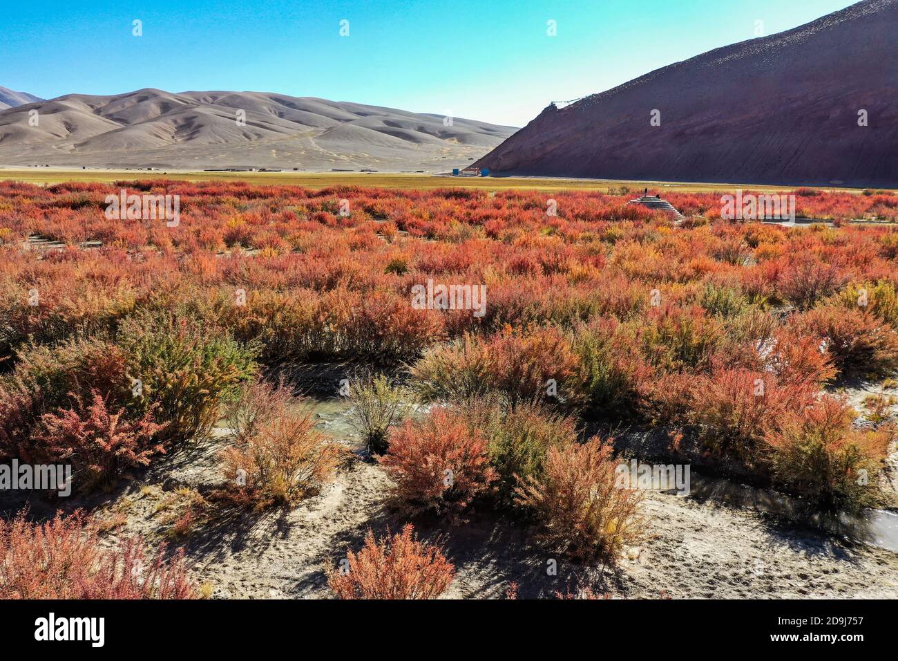 --fichier--vue aérienne du marais Jiamu Red Willow situé dans le village de Jiamu, ville de Shiquanhe, préfecture de Ngari, au sud-ouest du Tibet autonome de Chine Banque D'Images