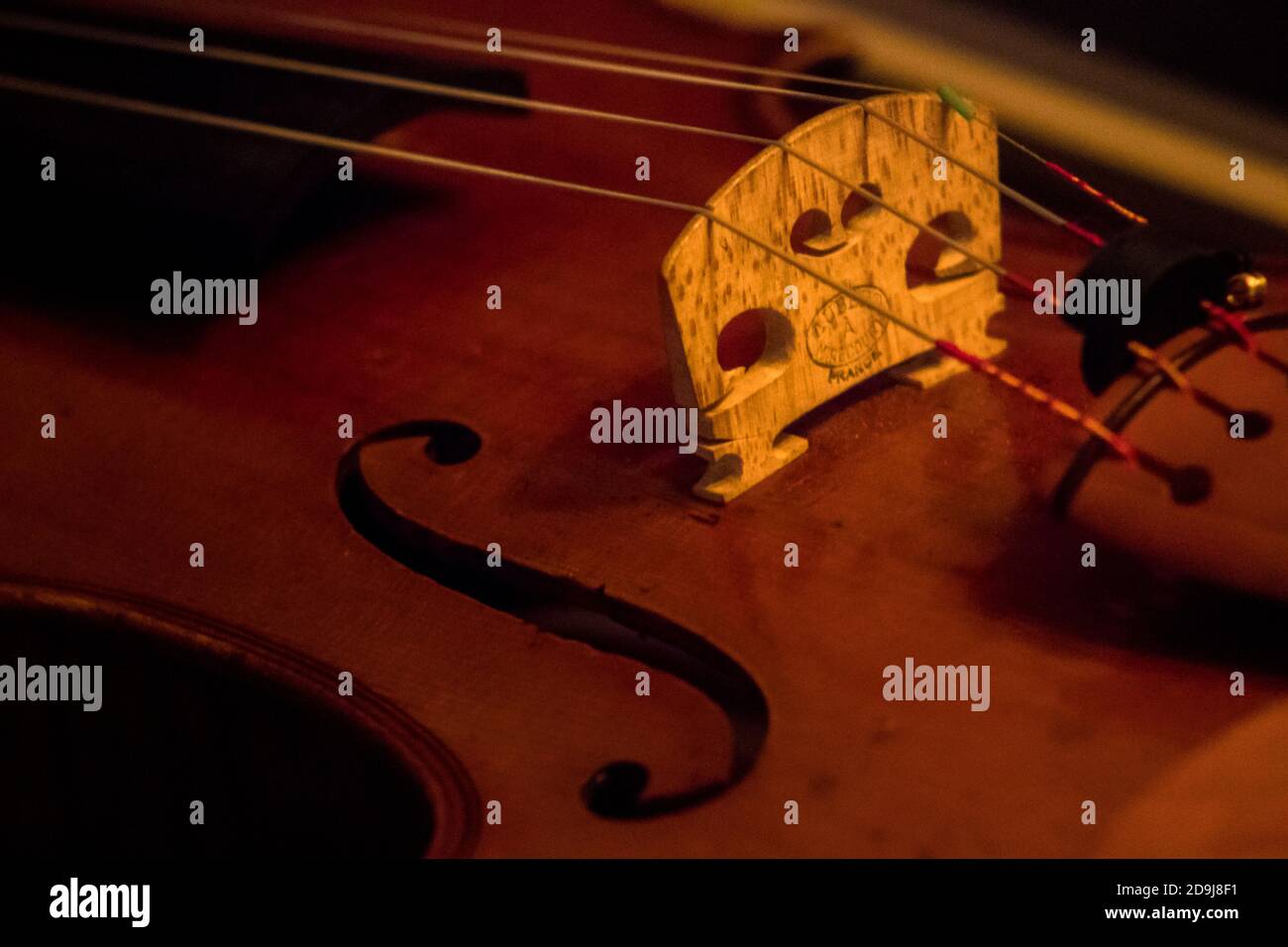 BUFFALO, ÉTATS-UNIS - 02 janvier 2018 : pont de violon, instrument de musique, gros plan, photo macro de trou de f Banque D'Images