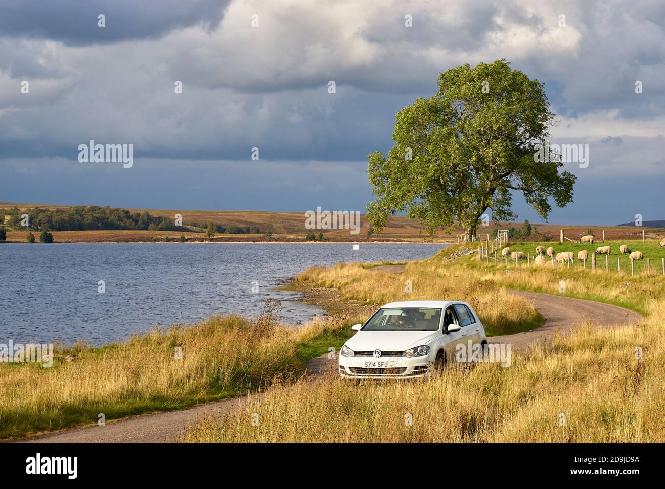Route à voie unique à côté de Lochindorb, Badenoch et Strathspey, Highland, Écosse. Voiture VW Polo blanche sur route. Banque D'Images