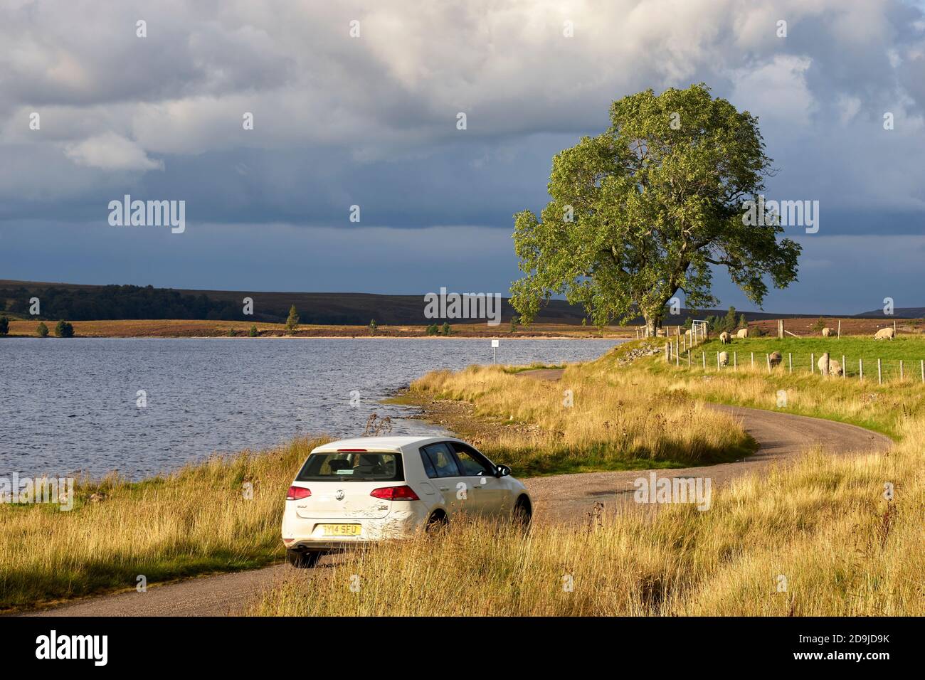 Route à voie unique à côté de Lochindorb, Badenoch et Strathspey, Highland, Écosse. Voiture VW Polo blanche sur route. Banque D'Images