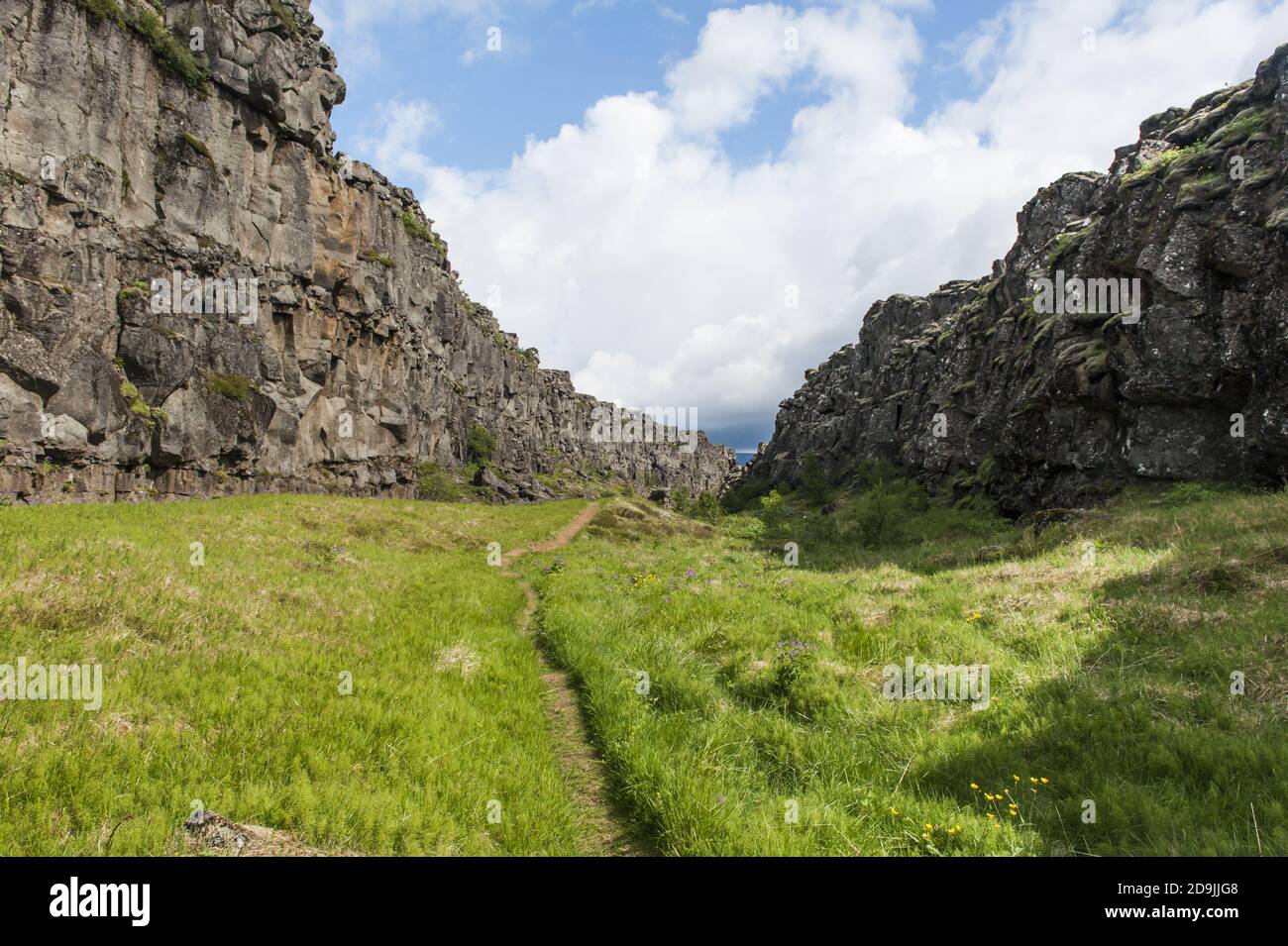 Dérive continentale entre les plaques nord-américaines et eurasiennes observée au parc national de Thingvellir, en Islande Banque D'Images