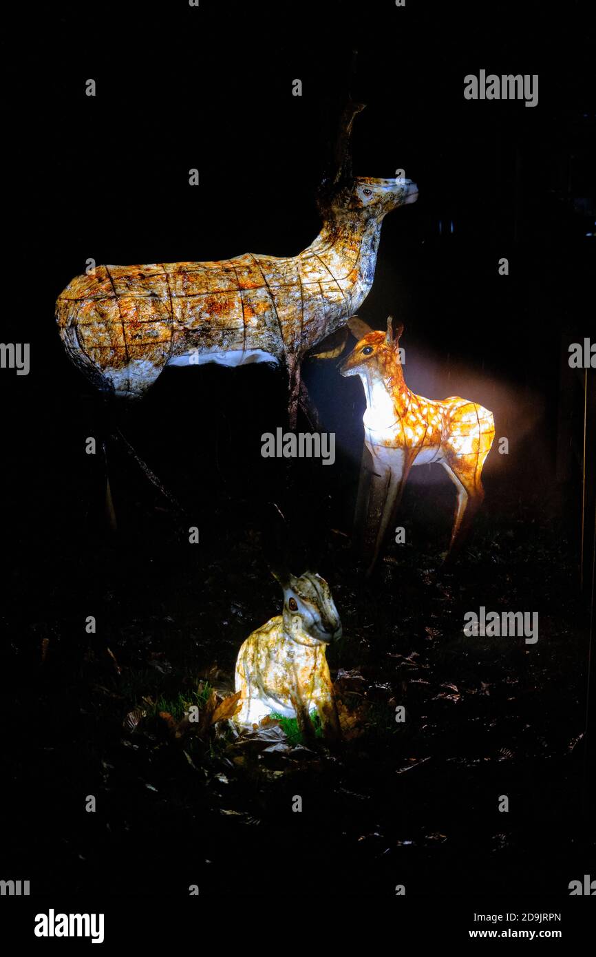 Cerf et lapin illuminés lors de l'événement d'hiver The Lantern du zoo de Chester. Banque D'Images