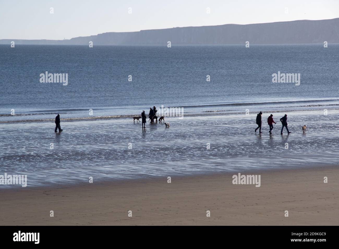 Randonnée pour chiens de plage de Filey, novembre Banque D'Images