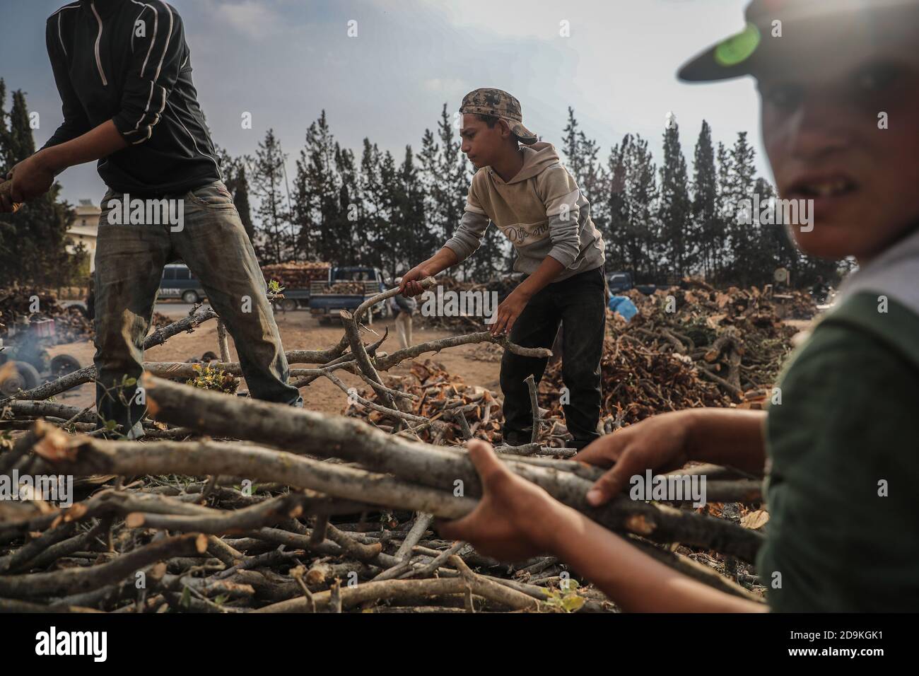 Idlib City, Syrie. 03ème novembre 2020. Une photo mise à disposition le 06 novembre 2020 montre que les Syriens couperont des morceaux de bois, qui serviront plus tard comme source de chaleur pendant la saison hivernale difficile à venir. La Syrie déchirée par la guerre connaît des étés très chauds et des hivers tout aussi froids, ce qui pose des problèmes majeurs à des millions de personnes qui ont été contraintes de se déplacer à l'intérieur du pays en raison du conflit civil en cours. Credit: Aras Alkharboutli/dpa/Alamy Live News Banque D'Images