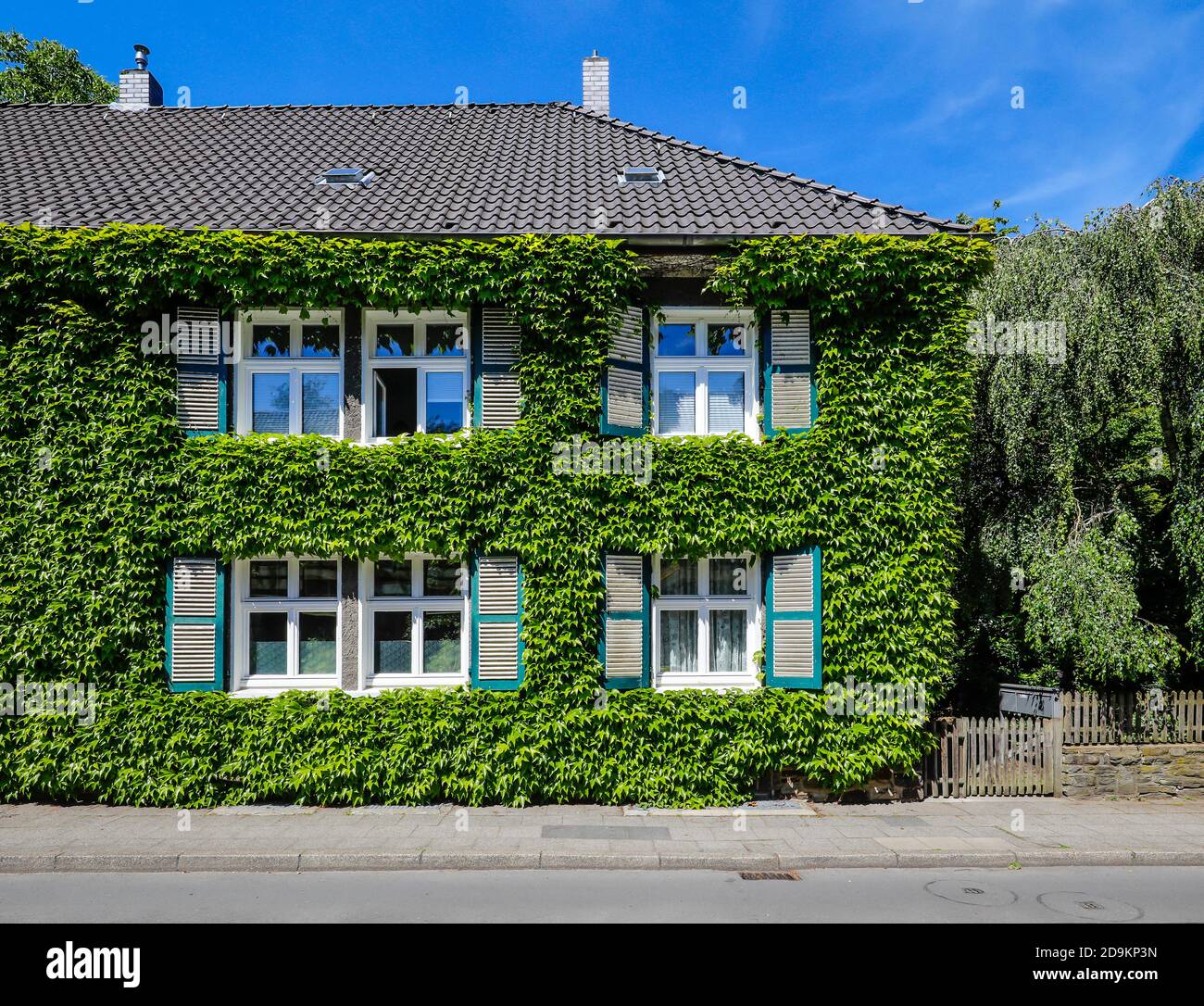 Essen, région de la Ruhr, Rhénanie-du-Nord-Westphalie, Allemagne, façade de maison surcultivée avec de l'ivie, la colonie Margarethenhoehe, est considérée comme la première ville de jardin allemande, la colonie de 115 hectares gérée par la Fondation Margarethe Krupp est un exemple de vie conviviale et est une vue dans la région de la Ruhr. Banque D'Images