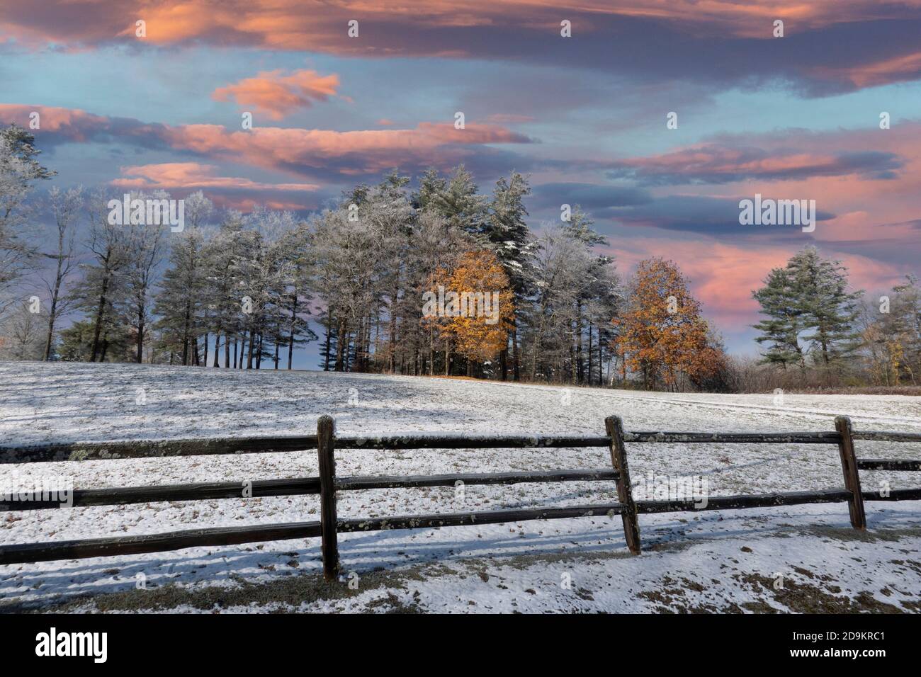 Walpole, New Hampshire, États-Unis. 2020. Une légère chute de neige couvrant un champ avec une touche de feuilles d'automne sur les arbres du New Hampshire. Banque D'Images