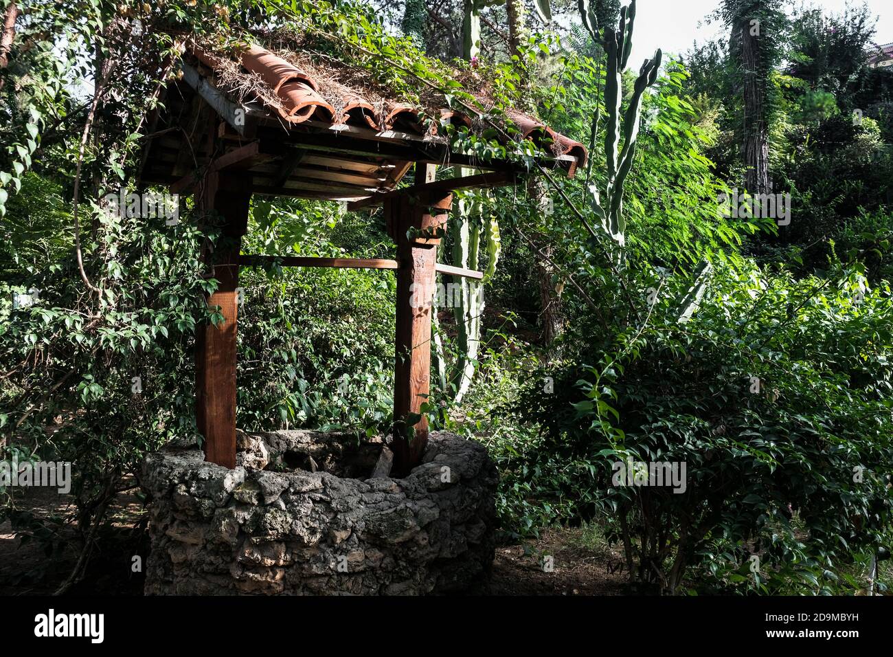 Ancien bien fait de pierre, bois et tuiles de toit dans une forêt ou un jardin entouré de buisson vert et de feuillage. Matériel agricole ancien Banque D'Images