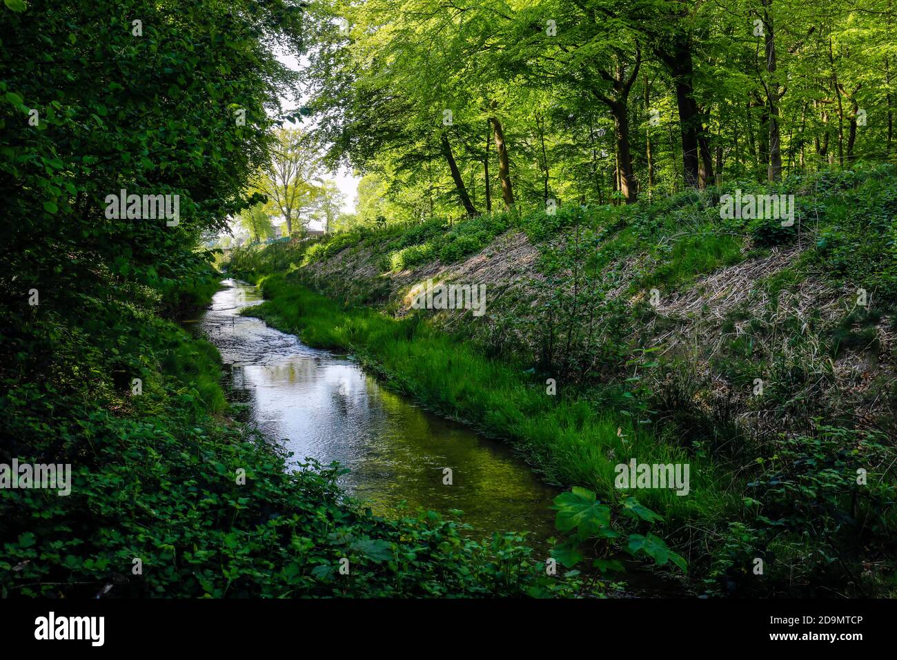 L'eau courante renatrée, le Hellbach appartient au système de l'Emscher, était auparavant un canal d'eaux usées ouvert, au-dessus du sol, conversion d'Emscher, Recklinghausen, région de la Ruhr, Rhénanie-du-Nord-Westphalie, Allemagne Banque D'Images