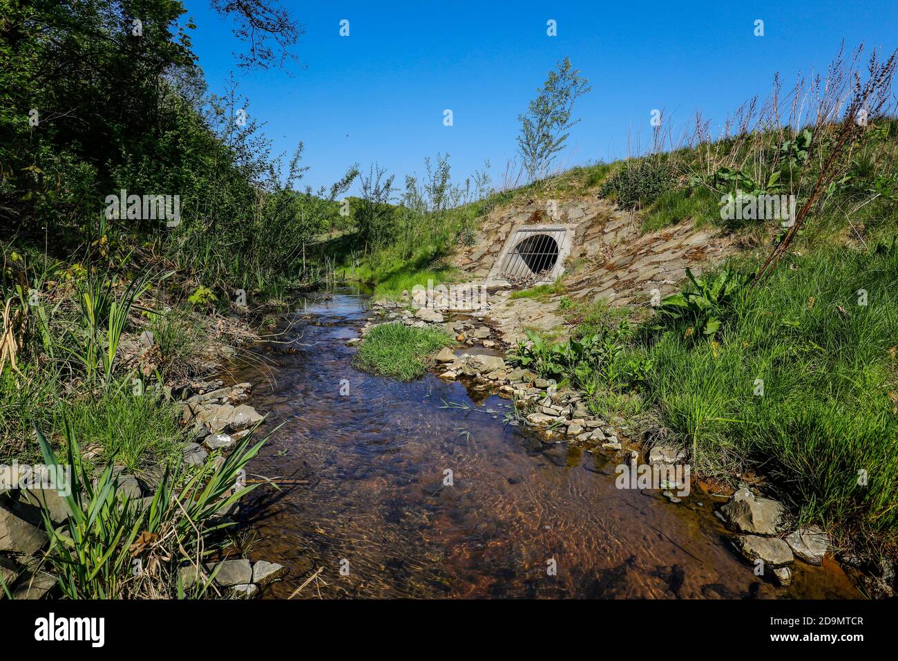 L'eau courante renatrée, le Breuskes Mühlenbach, appartient au système de l'Emscher, était auparavant un canal d'eaux usées ouvert, au-dessus du sol, conversion d'Emscher, Recklinghausen, région de la Ruhr, Rhénanie-du-Nord-Westphalie, Allemagne Banque D'Images