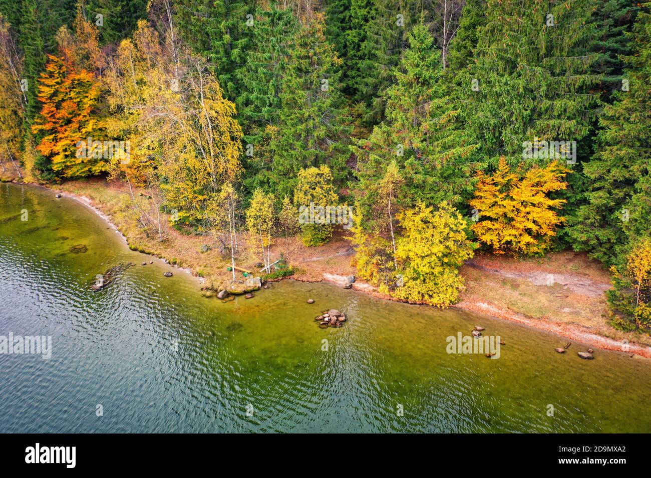 Vue sur la côte depuis le drone, automne couleurs forêt sur la côte Banque D'Images