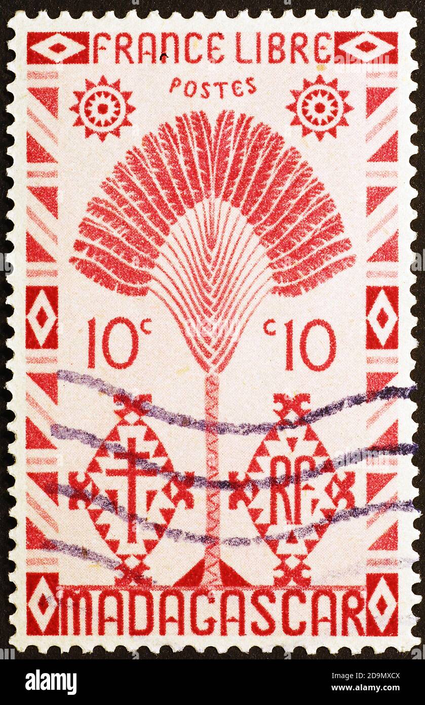 Arbre du voyageur sur l'ancien timbre-poste de Madagascar Banque D'Images