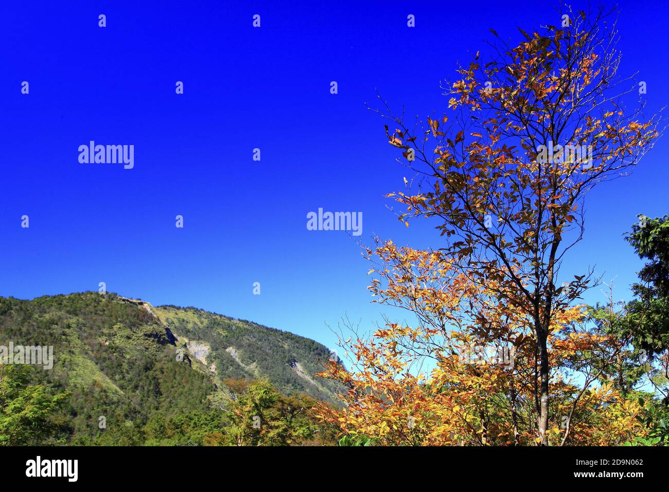 Beauté de Yilan Taiwan Banque D'Images