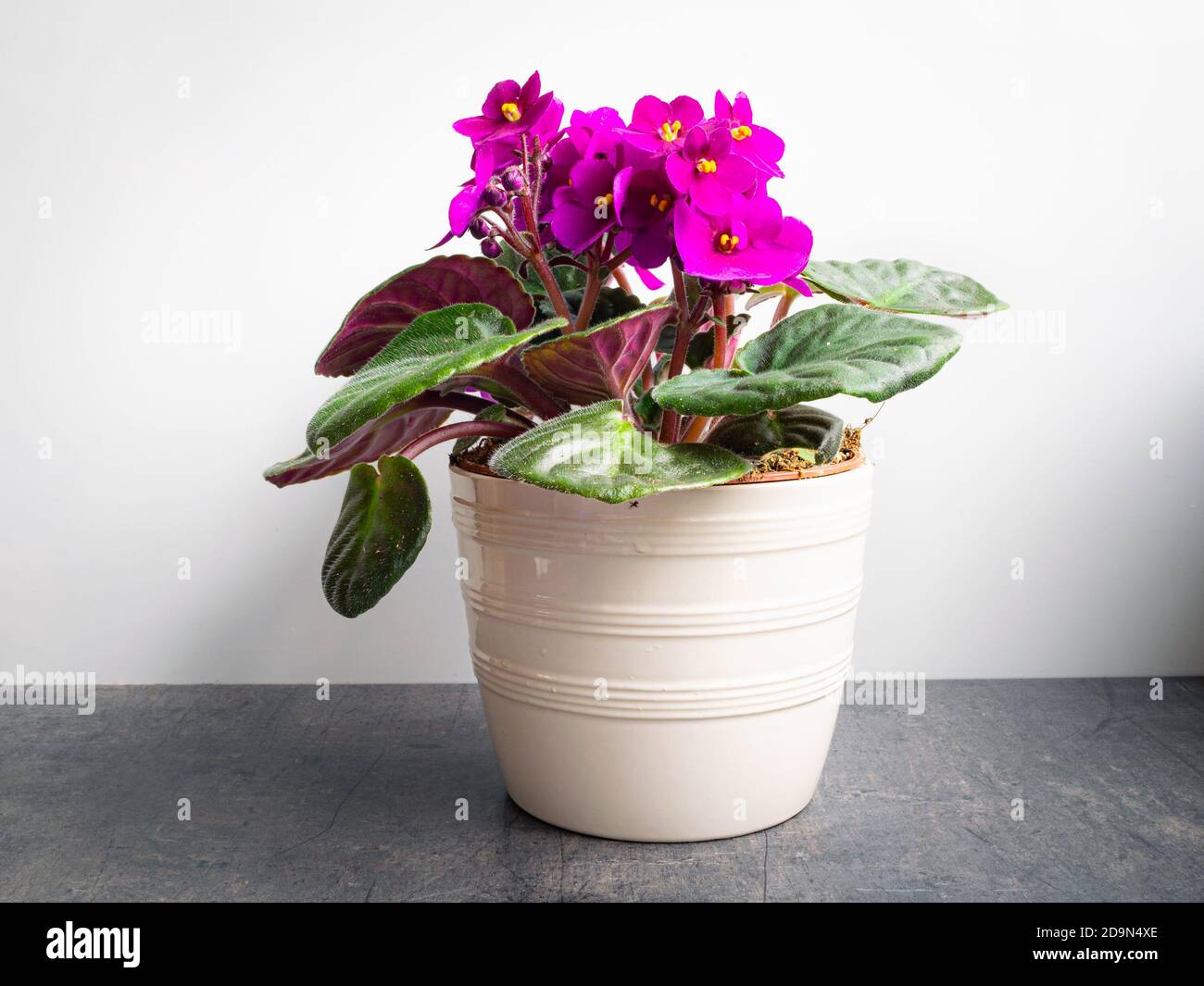 Herefun 4-Set Pot à Fleurs D'arrosage Automatique, Pots Fleurs Automatique Avec Indicateur De
