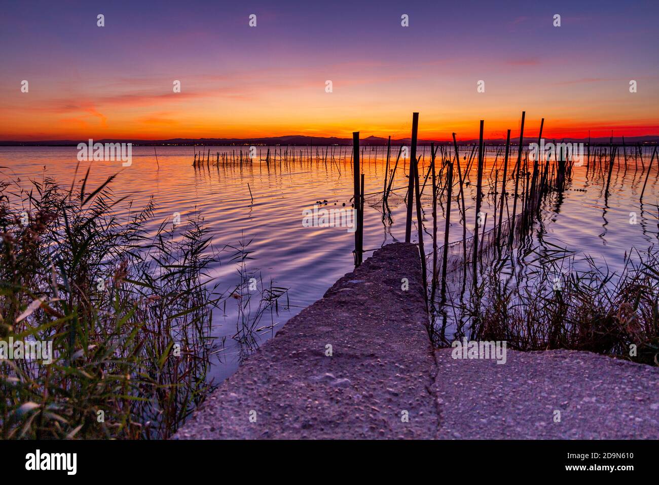Magnifique coucher de soleil rom la Albufera à Valence (Espagne). Vous pouvez voir le matériel de pêche traditionnel utilisé par les pêcheurs locaux pour obtenir des anguilles et d'autres poissons. Banque D'Images