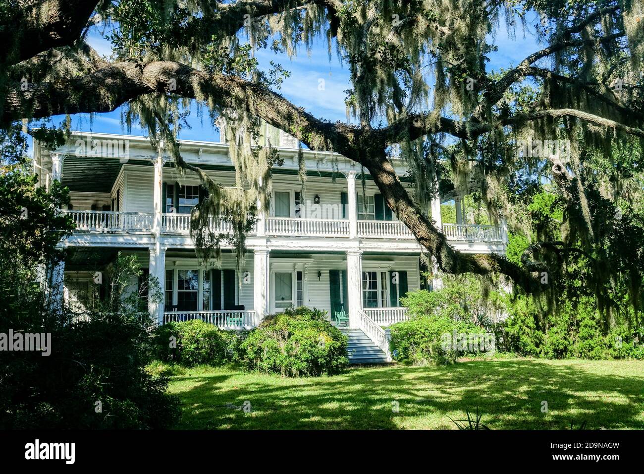 La maison historique Oaks construite en 1855 pour le colonel Paul Hamilton, ombragée par un chêne vivant couvert de Spanish Moss dans le quartier historique de Beaufort, en Caroline du Sud. Le père de Hamilton a été gouverneur de la Caroline du Sud de 1804 à 1806 et secrétaire américain de la Marine sous le président James Madison de 1809 à 1812. Banque D'Images