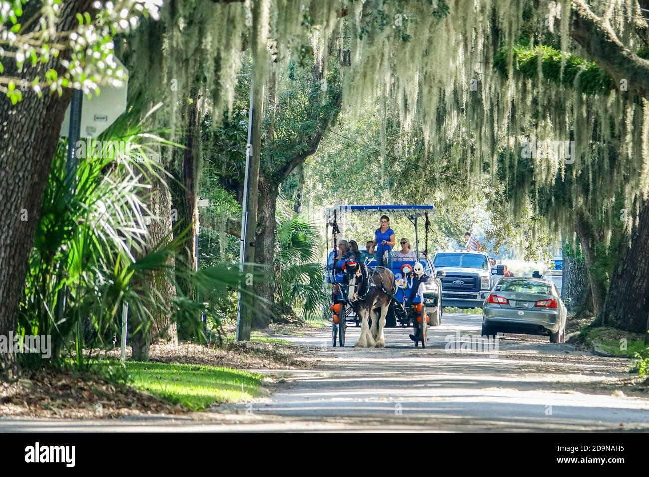 Une excursion en calèche se fait sous un énorme chêne vivant couvert de Spanish Moss dans le quartier historique de la communauté d'Old point, à Beaufort, en Caroline du Sud. Banque D'Images
