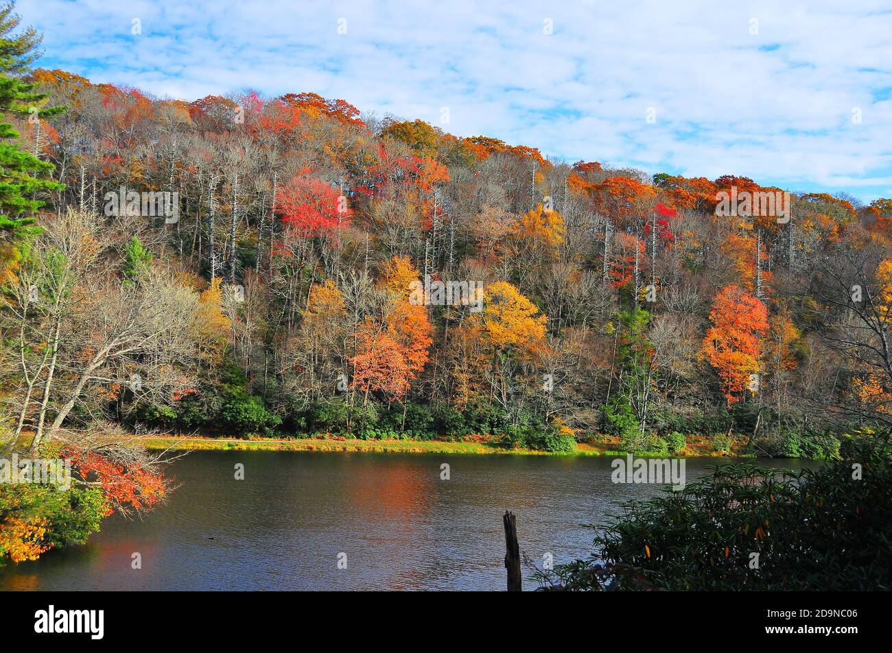 Il est facile de tomber amoureux des magnifiques couleurs d'automne et des paysages des magnifiques montagnes Blue Ridge Appalachian en Caroline du Nord. Banque D'Images