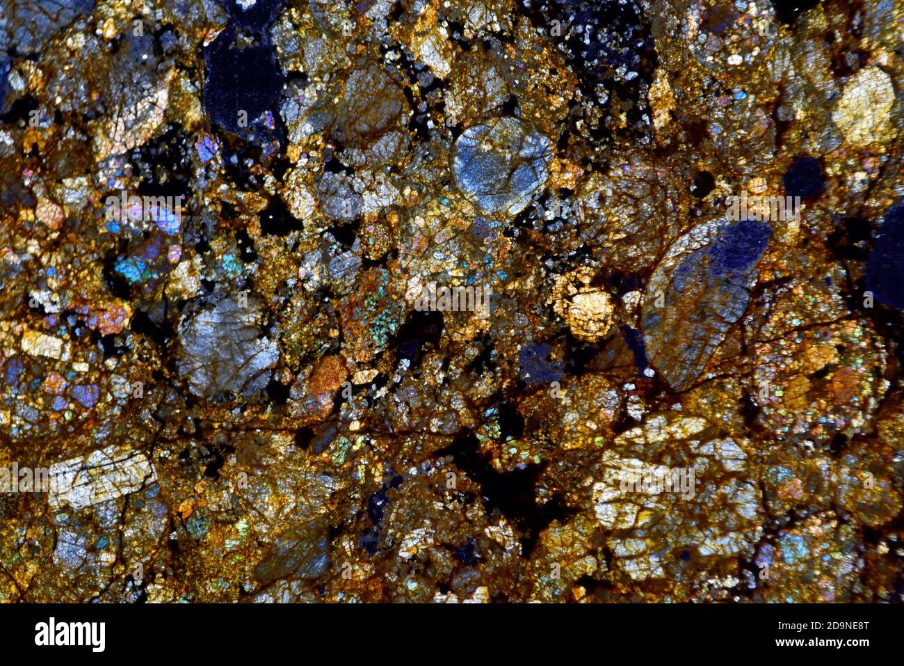 Lame à section mince du microscope météorite NWA montrant des chondrules, éclairage polarisé. Chondrule Rich, désert du Sahara, Maroc Banque D'Images