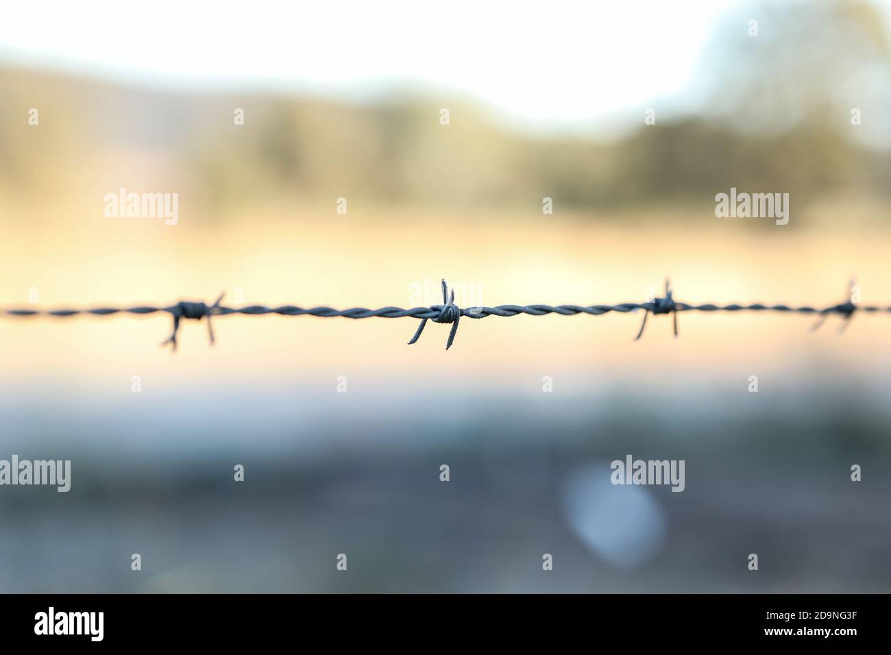Gros plan de la mise au point sélective du fil barbelé Banque D'Images