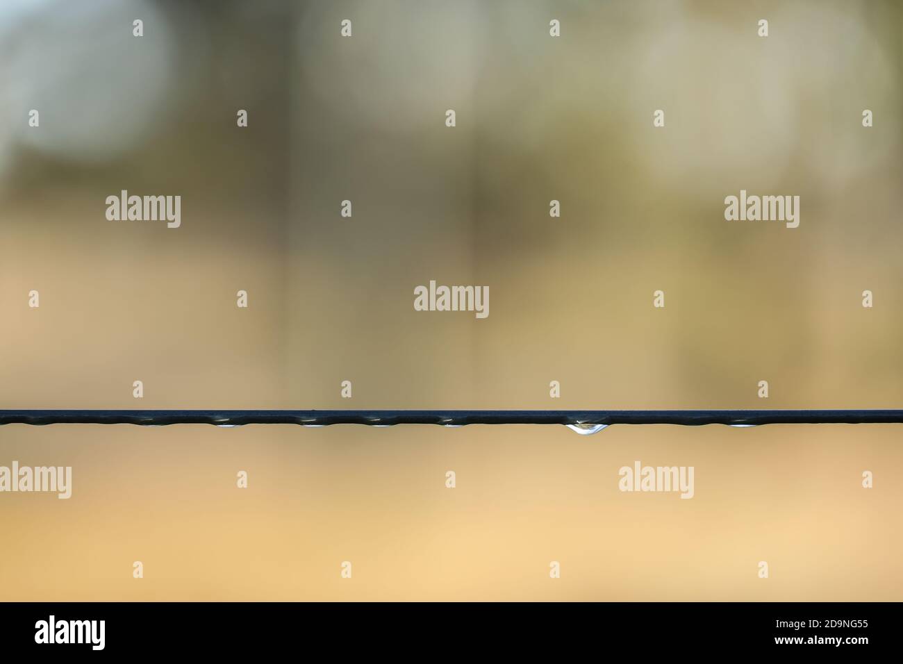 Gros plan de la mise au point sélective du fil métallique Banque D'Images