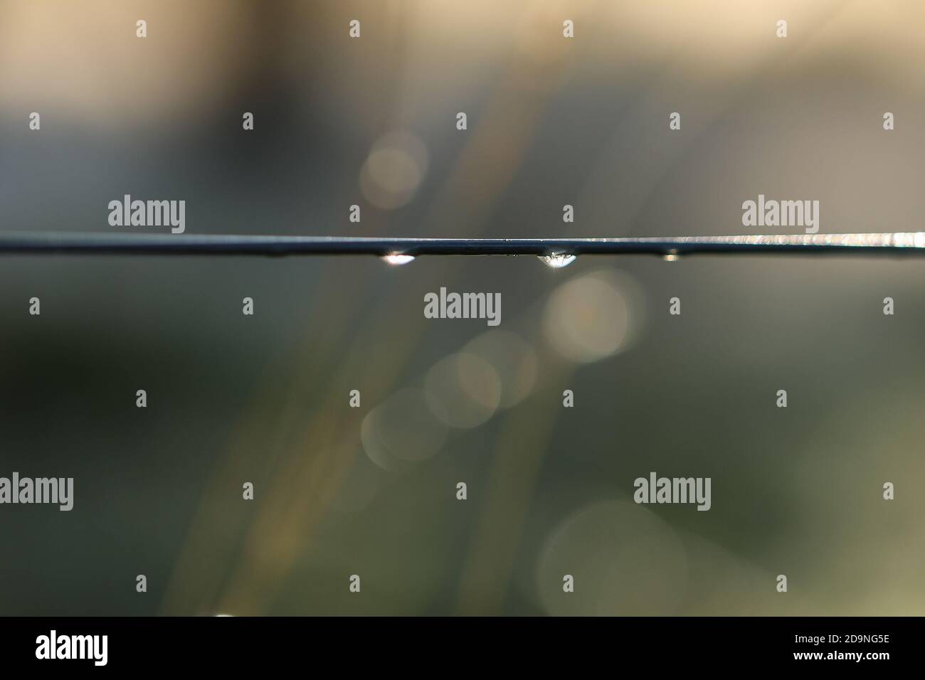 Gros plan de la mise au point sélective du fil métallique Banque D'Images