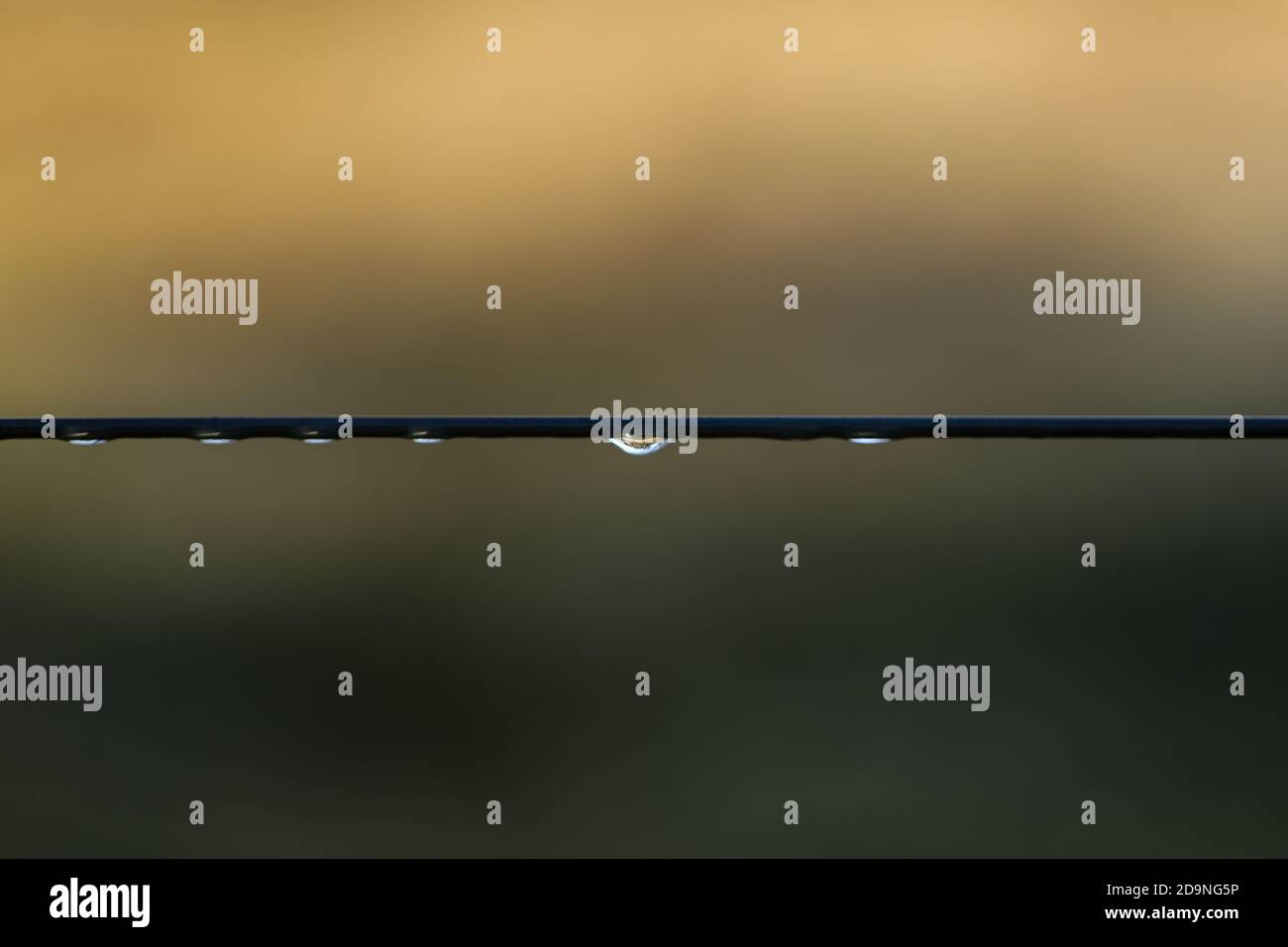 Gros plan de la mise au point sélective du fil métallique Banque D'Images