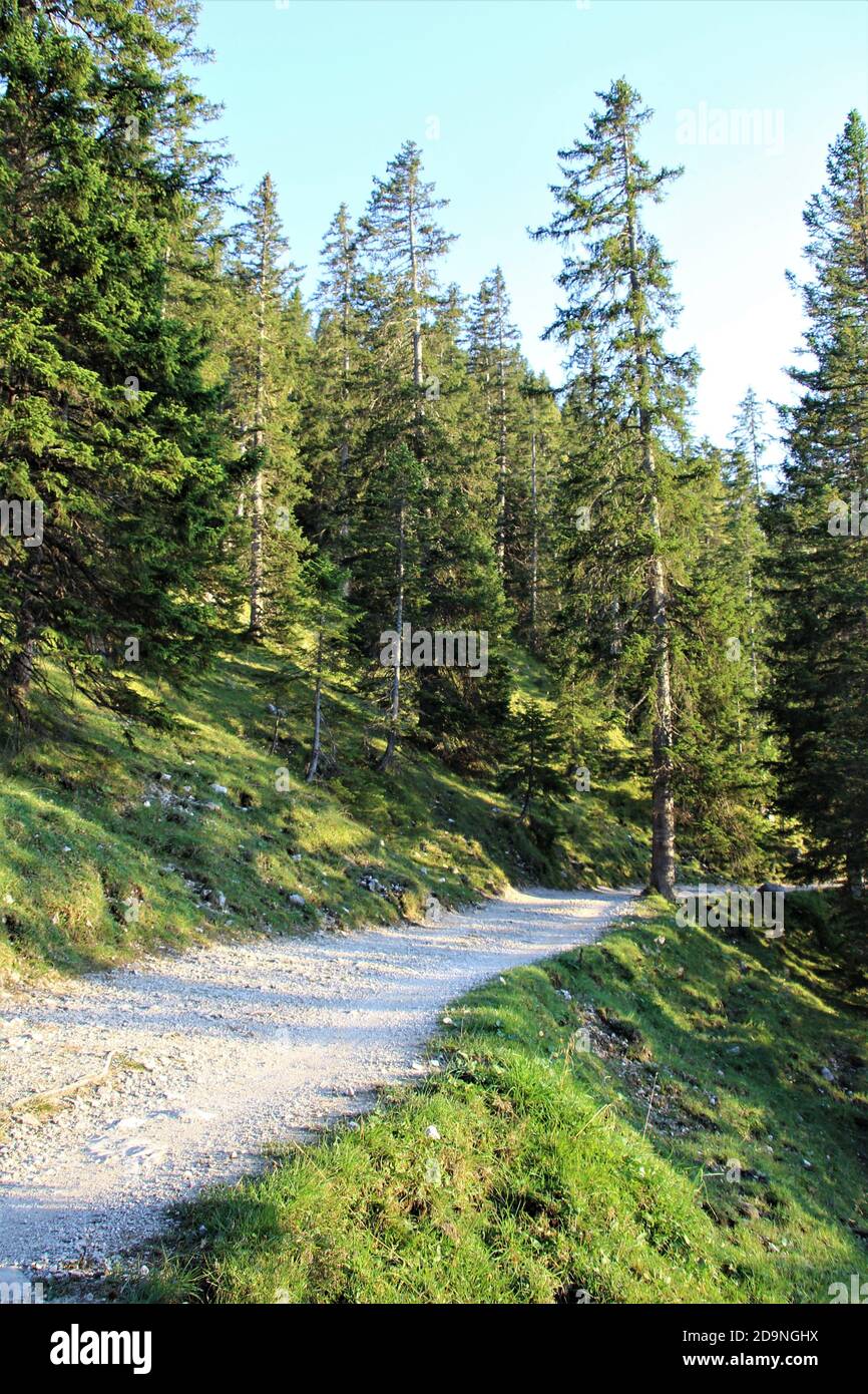 Sur le chemin de la maison royale sur Schachen, Allemagne, Bavière, Haute-Bavière, Garmisch-Partenkirchen Banque D'Images