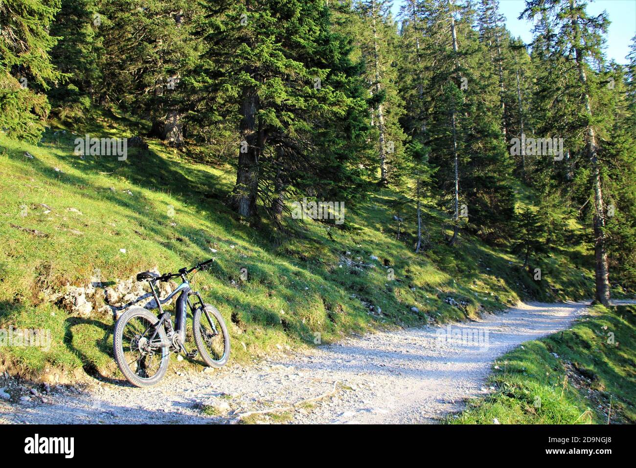 Sur le chemin de la maison royale sur Schachen, Allemagne, Bavière, Haute-Bavière, Garmisch-Partenkirchen Banque D'Images