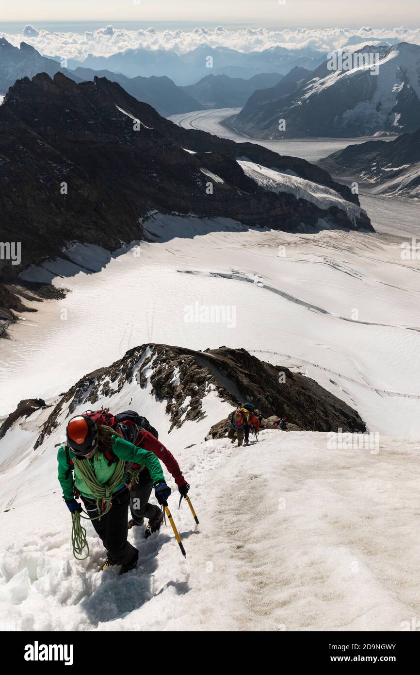 Suisse, canton de Berne, Oberland bernois, alpinistes sur la montée à Mönch, champ escarpé de firn, Jungfraufirn, Glacier d'Aletsch Banque D'Images