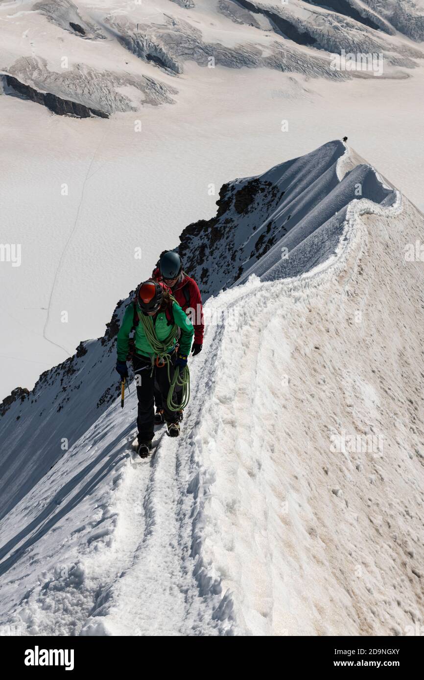 Suisse, canton de Berne, Oberland bernois, alpinistes sur la crête du sommet lors de l'escalade à Mönch, en arrière-plan Ewigschneefäld Banque D'Images