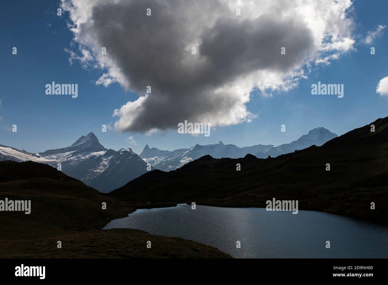 Suisse, canton de Berne, Oberland bernois, Grindelwald, First, Alp Baach, Bachalpsee avec Lauteraarhorn, Schreckhorn, Finsteraarhorn, Fiescherhorn, Hinter Fiescherhorn, Gross Fiescherhorn, Eiger Banque D'Images