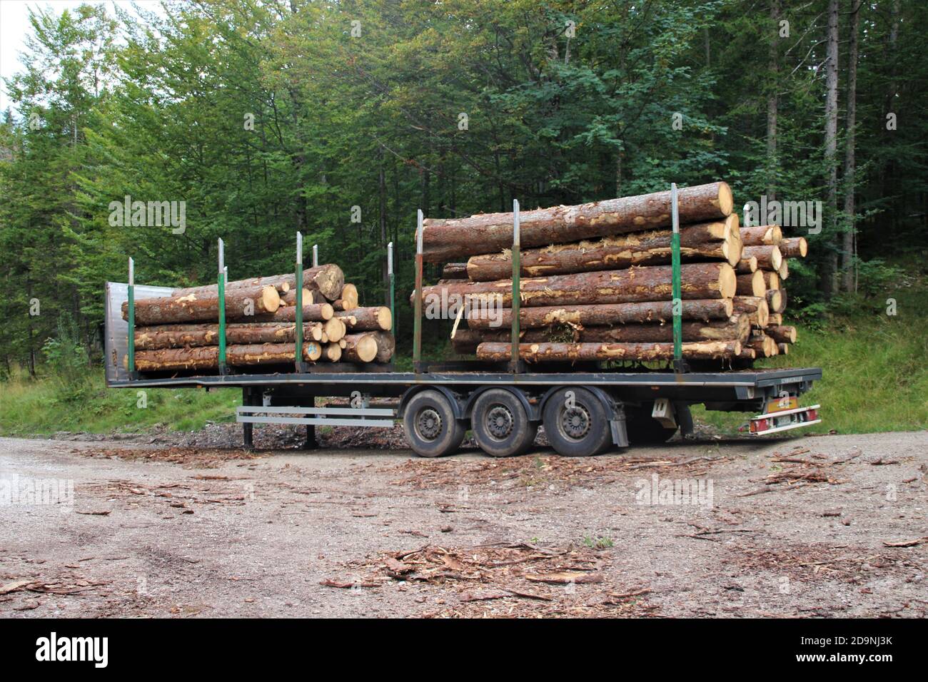 Allemagne, Bavière, haute-Bavière, Mittenwald, semi-remorque forêt de camions, stockage de bois, troncs d'arbres, route, chemin Banque D'Images