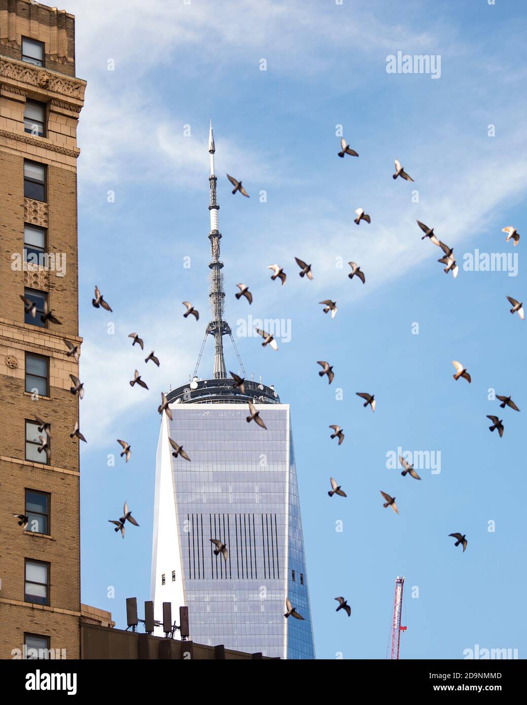 Manhattan, New York, États-Unis. 06e novembre 2020. Vue d'ensemble sur le sommet de la Tour de la liberté alors que les pigeons survolent à Manhattan, New York. Crédit obligatoire : Kostas Lymperopoulos/CSM/Alay Live News Banque D'Images