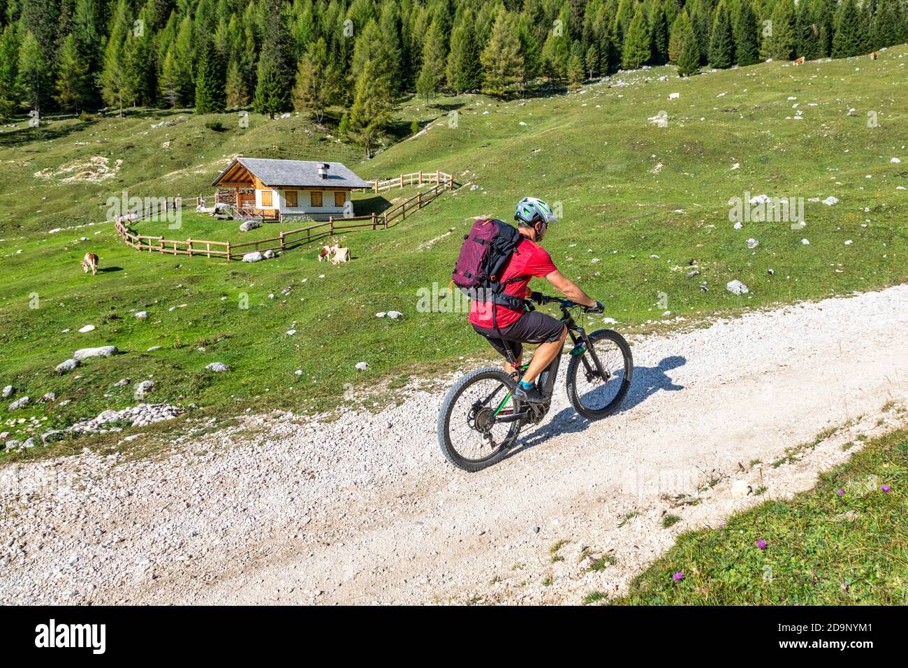 Homme avec e-bike sur le sentier de cinq huttes tour, localité Campo Croce dans la vallée de Salata, Parc naturel des Dolomites d'Ampezzo, Cortina d'Ampezzo, Belluno, Vénétie, Italie, Europe Banque D'Images