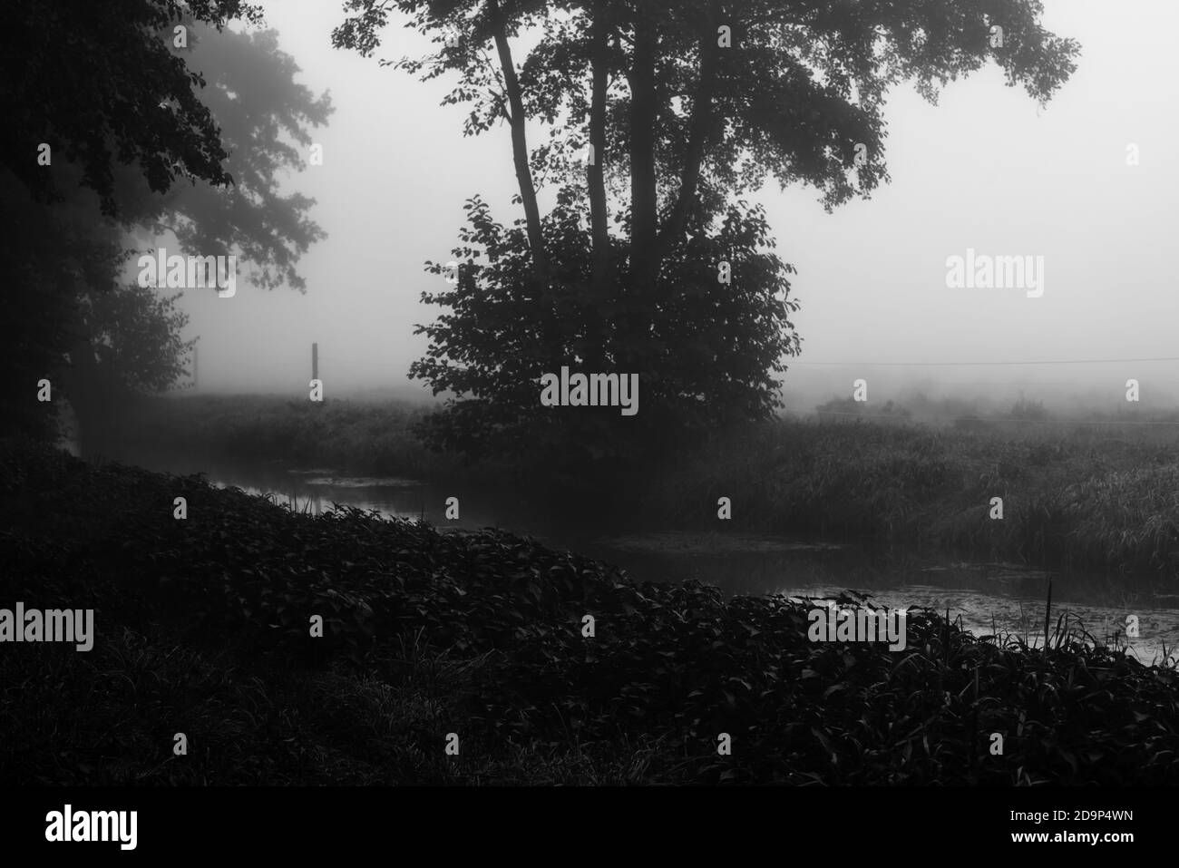 Brouillard épais en début de matinée en automne dans une petite rivière, netteté sélective, netteté au premier plan, noir/blanc Banque D'Images