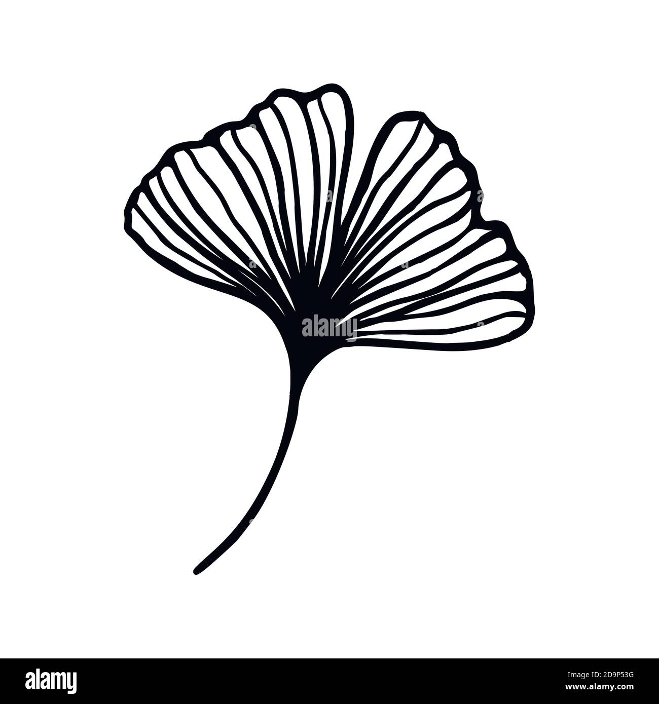 Ligne de contour tracée à la main par la feuille de Ginkgo biloba. Icône à base de plantes vectorielles dans un style minimaliste tendance. Pour la conception de logos, invitations, affiches, cartes postales Illustration de Vecteur