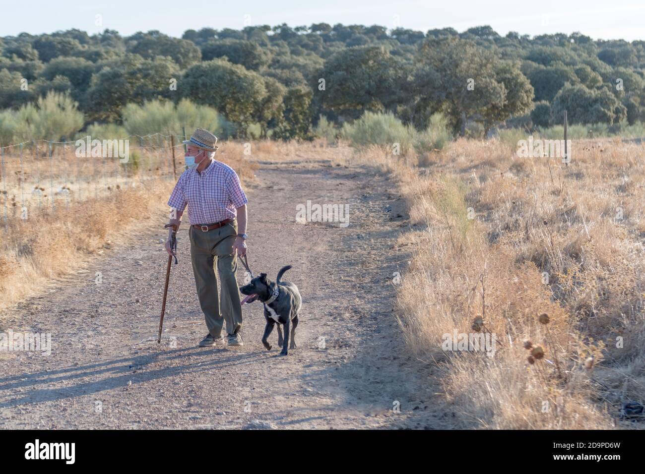 vieil homme avec une canne qui l'aide à marcher avec son chien dans les rues de sa ville tranquille Banque D'Images