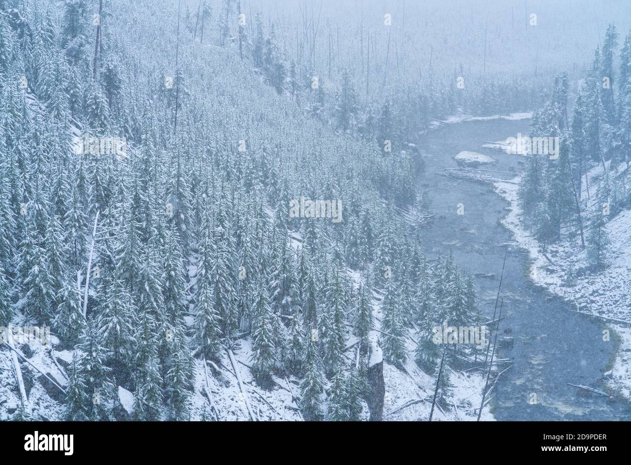 Neige, Kepler Cascades, parc national de Yellowstone, site classé au patrimoine mondial de l'UNESCO, Wyoming, États-Unis, Amérique Banque D'Images