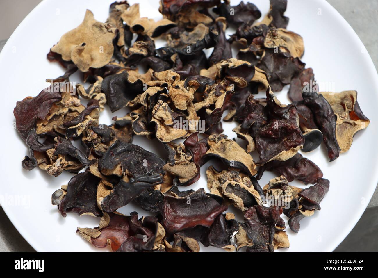 Champignons à oreilles en bois sec ou champignons à oreilles nuageuse, délicatesse de Sikkim, Inde Banque D'Images