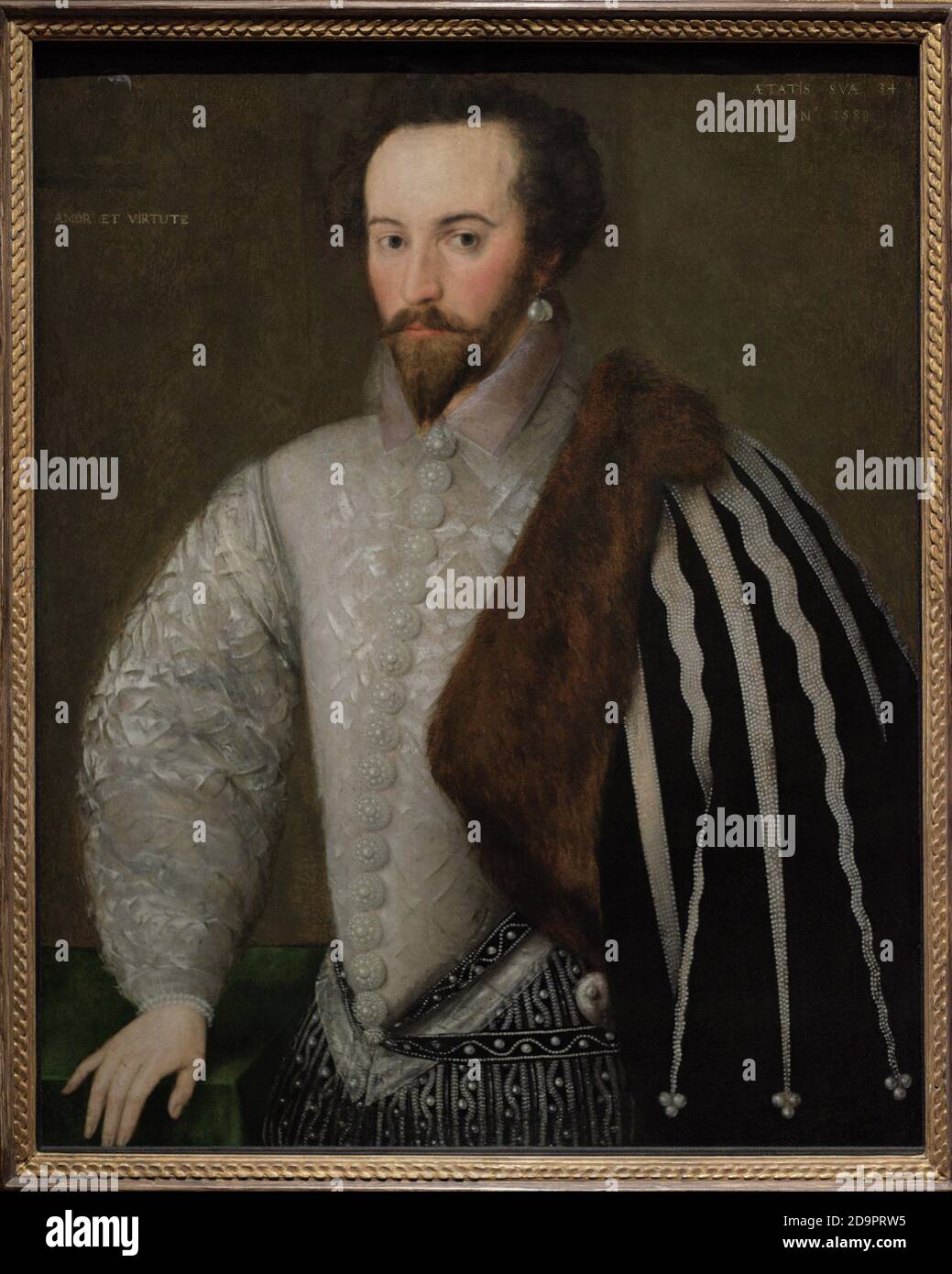 Sir Walter Ralegh (1554-1618). Écrivain, soldat, homme politique et explorateur anglais. Favori de la reine Elizabeth I. Ralegh a conçu le projet de colonisation de l'Amérique du Nord, en fondant en 1584 sur l'île de Roanoke (maintenant Caroline du Nord) la colonie de Virginie en l'honneur de la reine Elizabeth. Il a rendu le tabagisme populaire au tribunal. Portrait d'un artiste anglais inconnu. Huile sur le panneau, 1588. Galerie nationale de portraits. Londres, Angleterre, Royaume-Uni. Banque D'Images