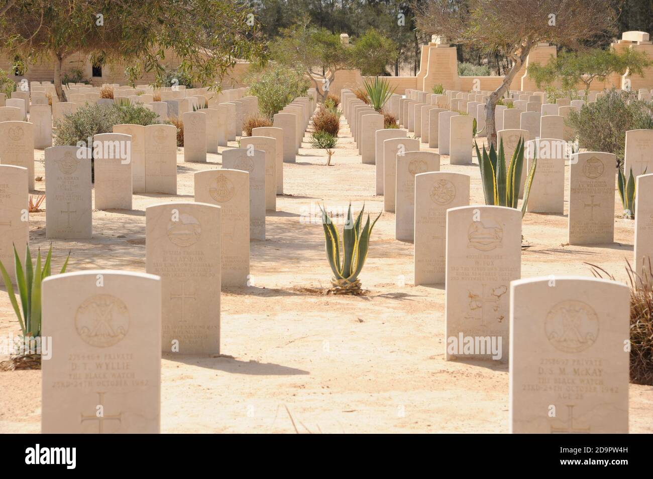 Cimetière de guerre - El Alamein, Égypte Banque D'Images