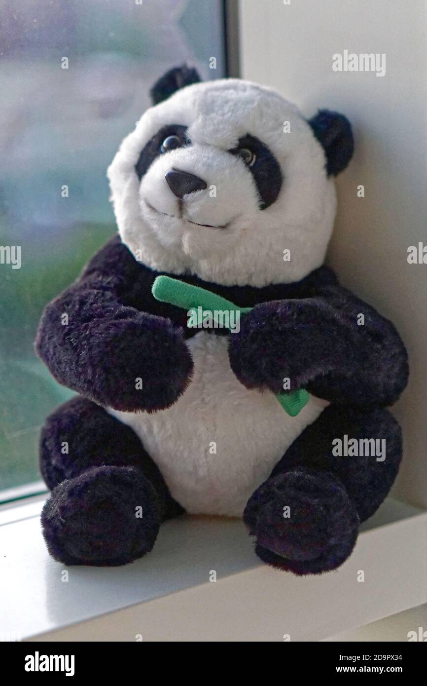 Grand fauteuil en peluche à motif ours en panda dans la fenêtre Photo Stock  - Alamy