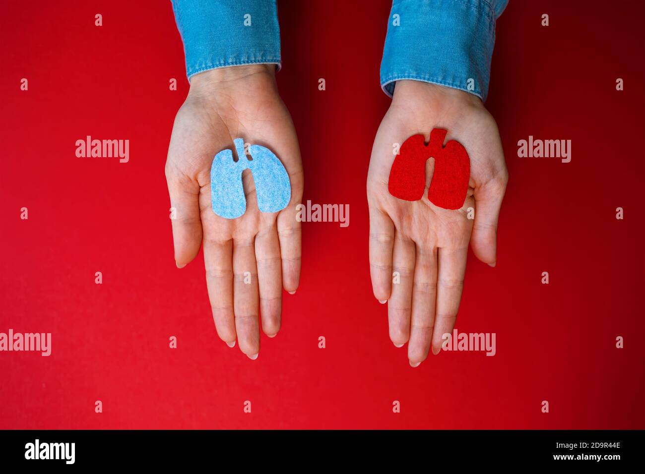 Journée mondiale de la pneumonie. Les mains des femmes tiennent la silhouette découpée des poumons. Des poumons sains et malades. Pose à plat. Arrière-plan rouge. Banque D'Images