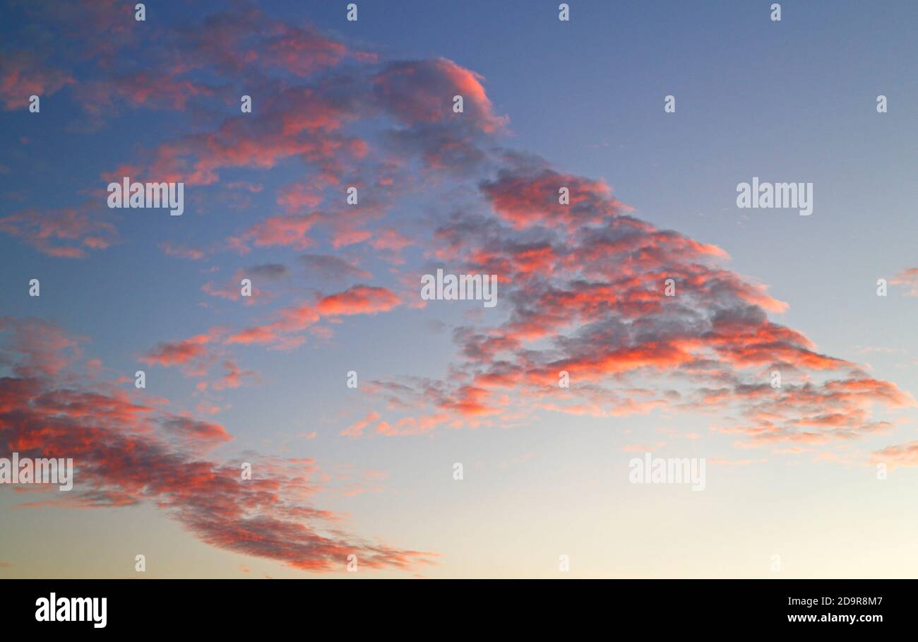 Nuages d'Altocumulus avec le soleil réfléchi au coucher du soleil avec coloration rouge pastel sur Hellesdon, Norfolk, Angleterre, Royaume-Uni. Banque D'Images