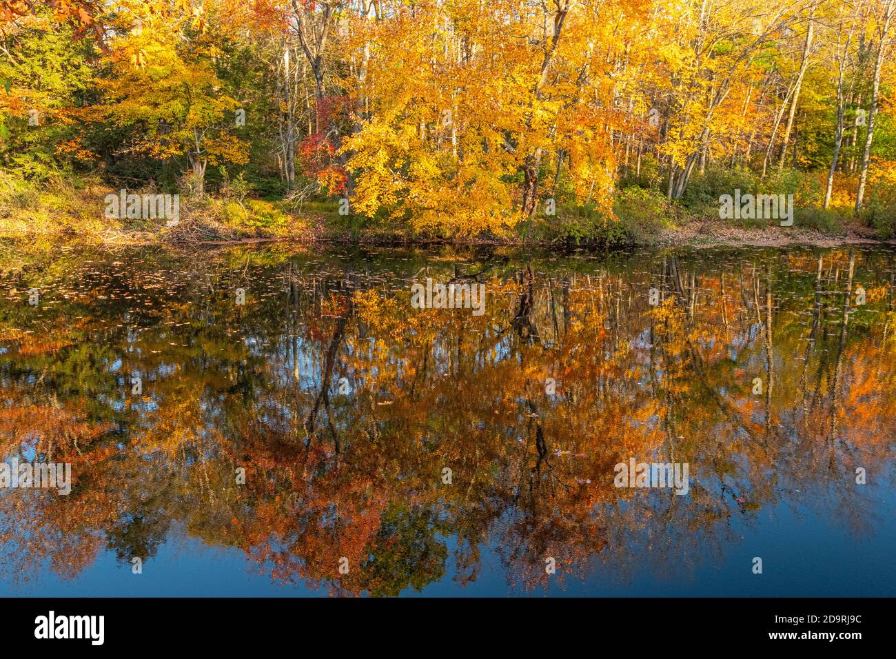 La rivière Millers dans la région du barrage de Birch Hill à Royalston, Massachusetts Banque D'Images