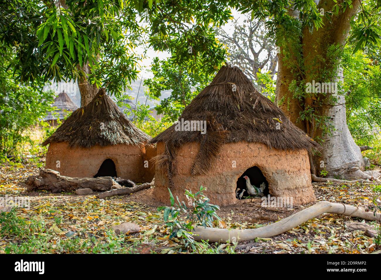 Maisons de poule dans le village de la tribu de Somba Banque D'Images