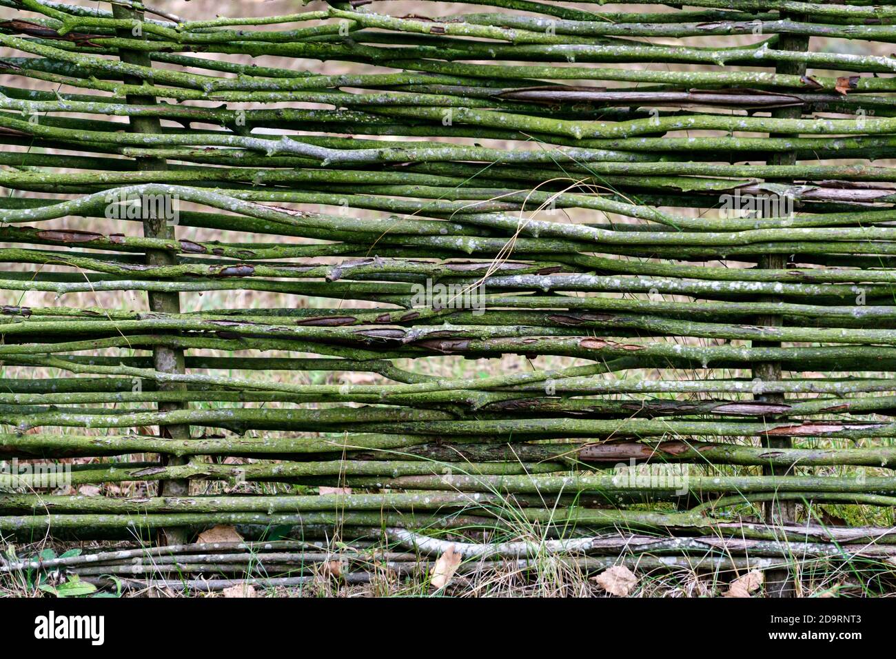 Clôture souple faite de branches de saule dans le pays Banque D'Images